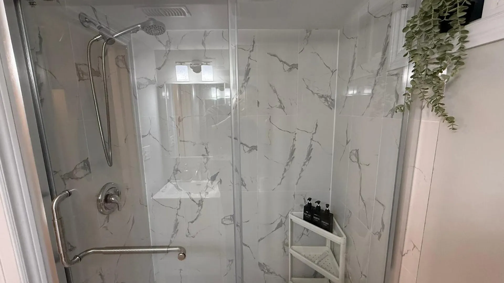 Apartment 2 Bedroom Basement-Downtown Toronto