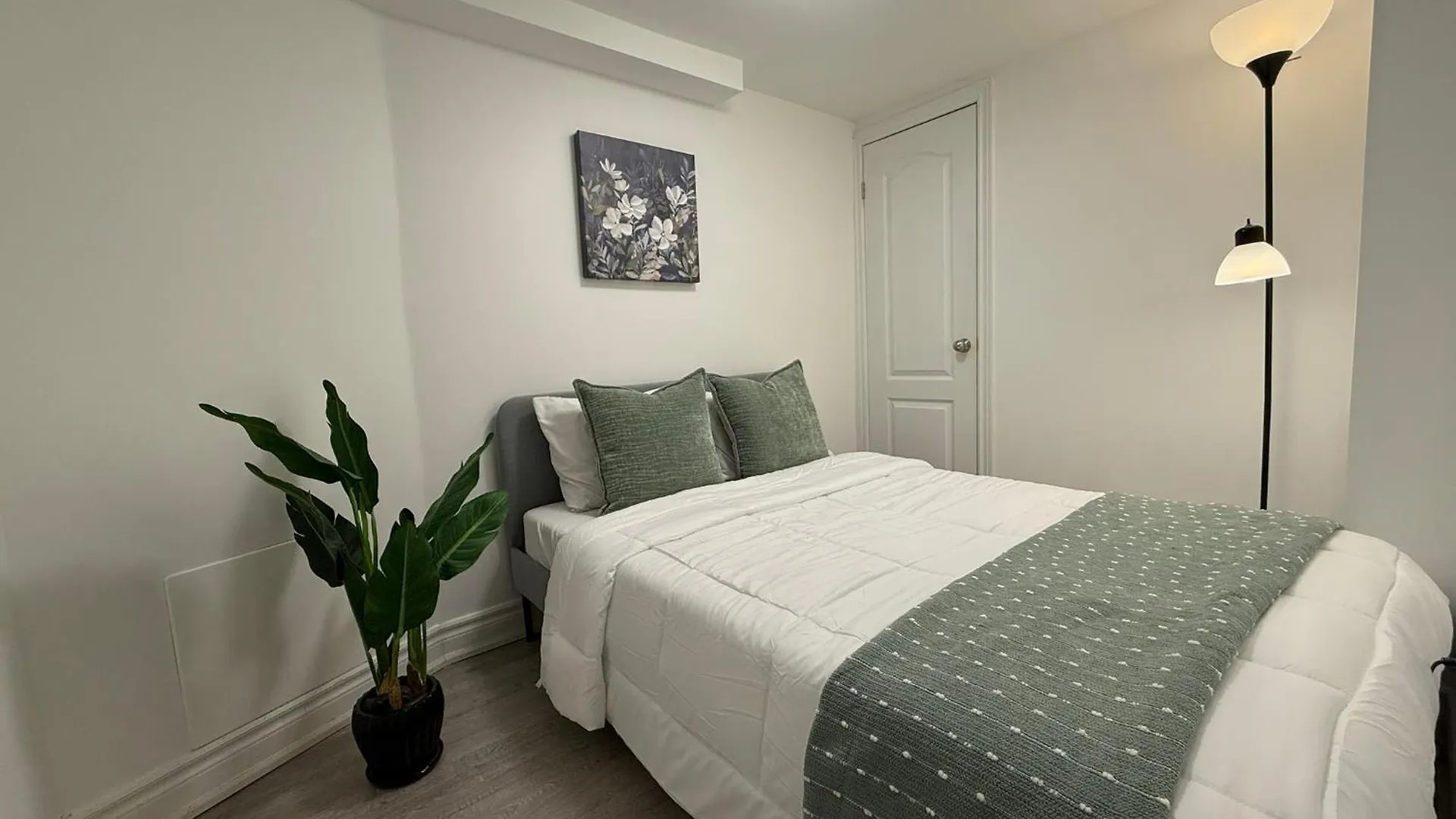 2 Bedroom Basement-Downtown Toronto Apartment